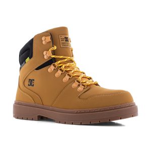 Peary TR Work - DC60901